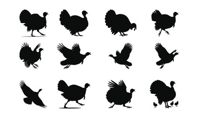 Silhouettes of turkey cock bird vector illustration, logo or sticker design , black and white, monochrome design, minimalist design, isolated on a white background