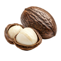Shea nuts on a transparent background