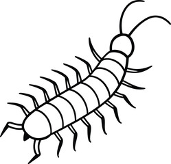 Centipede with many legs silhouette illustration