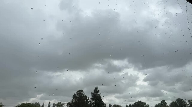 LLUVIA, LLOVIENDO TORMENTA