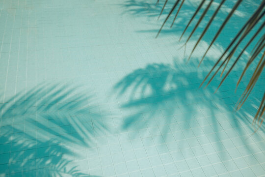 Sunny aqua waves and coconut palm leaves shadow on blue swimming pool with tropical leaf. Water pool texture top view. Summer mockup design. Luxury travel tourism summer pattern tropical background