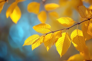 Obraz premium A close-up shot of a tree branch featuring bright yellow leaves