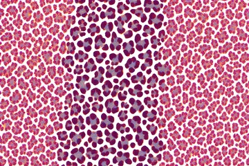 Vibrant Pink and Purple Leopard Print Pattern on White Background