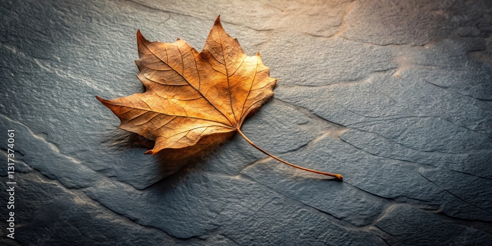 Poster a single autumn leaf with delicate veins rests on a textured, slate surface, bathed in soft sunlight