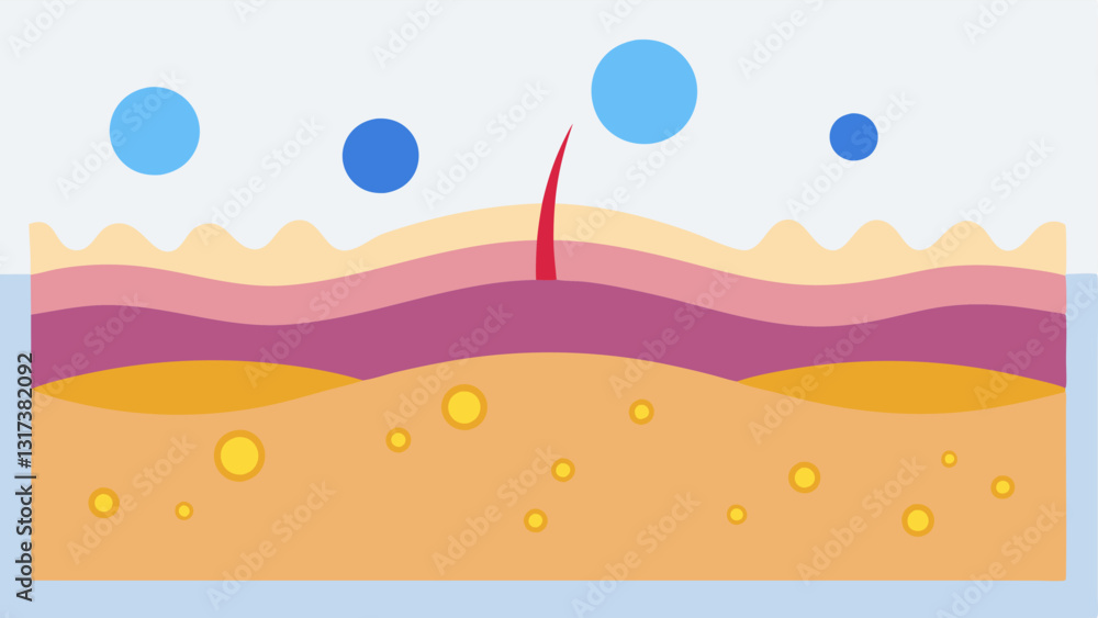 Poster skin layer crosssection a crosssection of illustrating nanosized particles trating the epidermis and