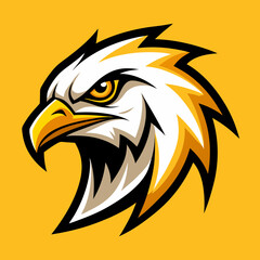 Fototapeta premium head of eagle