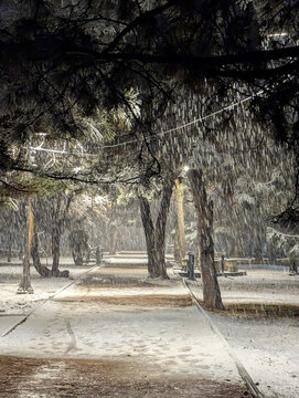https://esp.gettyimages.com/contribute/batches/52278851#:~:text=Urban%20landscape%20%2D%20a%20heavy%20snowstorm%20on%20a%20pine%20alley%20in%20the%20evening%2C%20a%20lantern%20illuminates%20wet%20fall