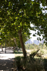 Santiago de Chile 2025