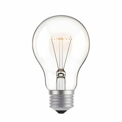 Vintage Incandescent Light Bulb with Clear Glass and Metal Base