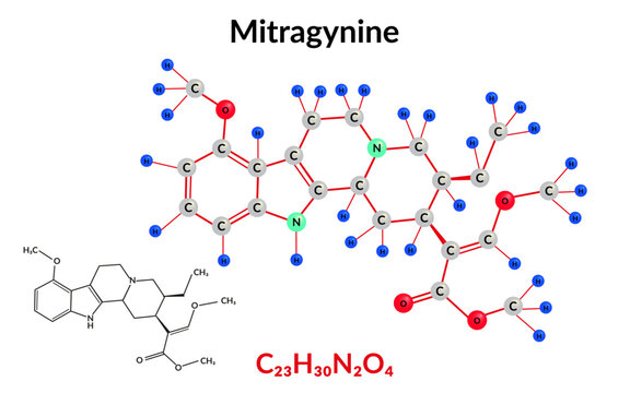 Mitragynine herbal alkaloid molecular structure formula, ball-and-stick model, suitable for education or chemistry science content. Vector illustration
