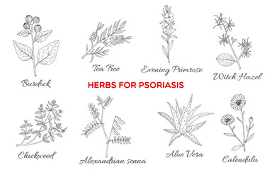 Collection of best herbs for psoriasis. Hand drawn botanical vector illustration