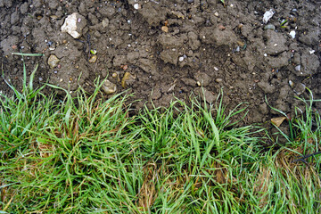 Half done concept: close-up photo of tilled land and a field overgrown with weeds. Fifty-fifty: contrast between fertile soil prepared for planting and an uncultivated area. Spring work in the garden.
