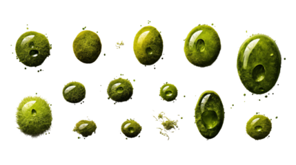 Green Moss Droplets Abstract Nature Design, Shiny Liquid Background for Digital Art, isolated on transparent background.