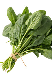 Fresh Spinach Leaves