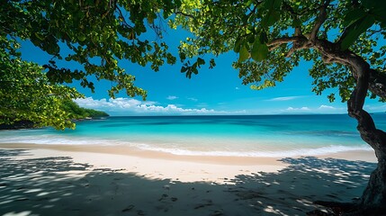 Tropical Beach Paradise: Stunning Blue Water, White Sand, and Lush Greenery for a Perfect Vacation Getaway.