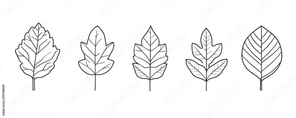 Poster flat linear leaf icons set with simple line art design for nature and eco themes.