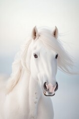 A pure white stallion with a long flowing mane is rendered in expressive oil style. The background is a dreamy blend of blues and whites, creating a soft and gentle light effect