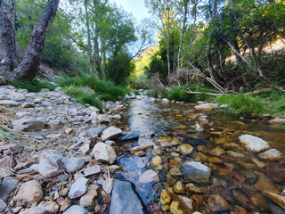 spring forest nature landscape, beautiful spring stream, river rocks in mountain forest.