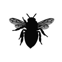 Obraz premium Silhouette of a buzzing bee on white background, nature symbolism