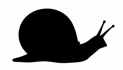 Snail silhouette on white background
