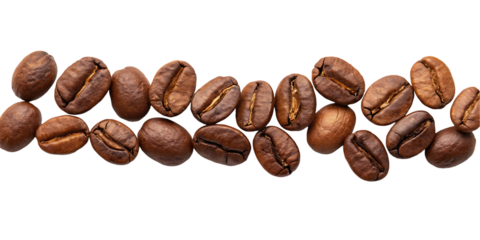 Coffee bean assortment on white