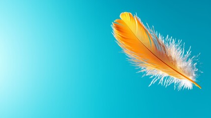 Fototapeta premium Vibrant Yellow Feather on Turquoise Background for Stunning Visuals