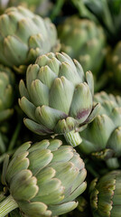 Vibrant artichokes showcasing intricate details in a lively market setting