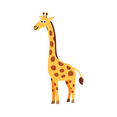 Obraz premium Standing giraffe with long neck