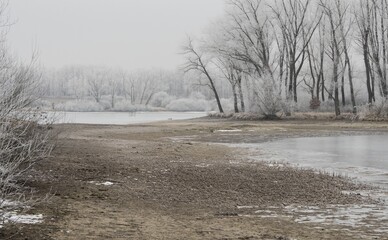 Gloomy winter day in a wetland landscape.