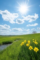 A field of yellow flowers with a bright blue sky in the background. The sun is shining brightly, making the flowers look even more vibrant. The scene is peaceful and serene, with the sun