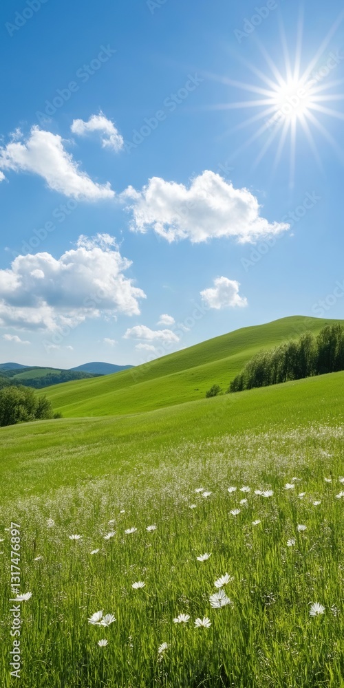Poster a field of green grass with a bright sun shining down on it. the sun is the main focus of the image,