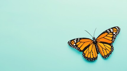 Obraz premium Close-Up Hand-Painted Monarch Butterfly on Smooth Blue Background for Artistic Display