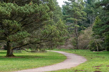 path in the park