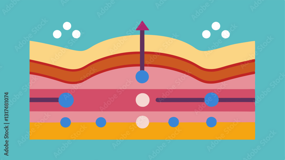 Poster skin layer diagram a crosssection of with arrows indicating the tration of nanoparticles through the