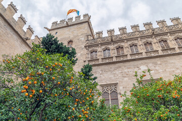Facade La Lonja de la Seda in Valencia, Spain
