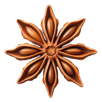 recommend clip art: star anise pod isolated on transparent background