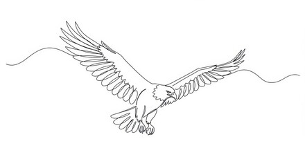 Soaring Eagle Line Drawing