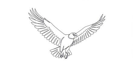Soaring Eagle Line Drawing