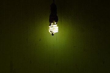 old light bulb on green background
