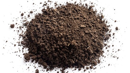 A Pile of Dirt with Small Twigs and Sticks