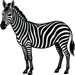A zebra  silhouette illustration on white background.