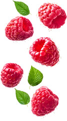 Fresh and vibrant raspberries with green leaves floating in a delightful arrangement on a transparent background