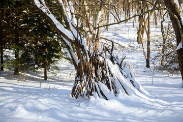 Winter Shelter in Forest