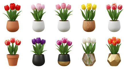 Obraz premium Colorful Tulip Flower Potted Plants in a Row for Spring Decor