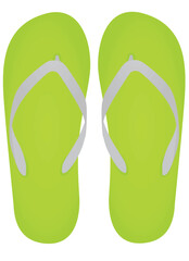 Green flip flops. vector illustration