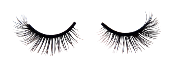 Black false eyelashes kept on white or transparent background, clipping path