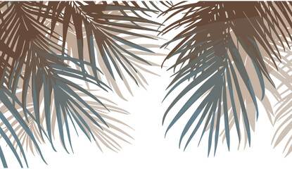 Abstract vector illustration Palm tree shadow background, tropical sunset, silhouette, nature design, beach style, summer vibes, exotic island, palm leaves, relaxing view