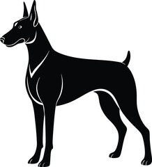 a Dobermann silhouette illustration isolated on white background.