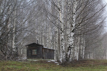 Obraz premium hunters' lodge in the spring forest