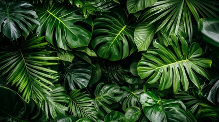 Lush Green Tropical Leaves Background
